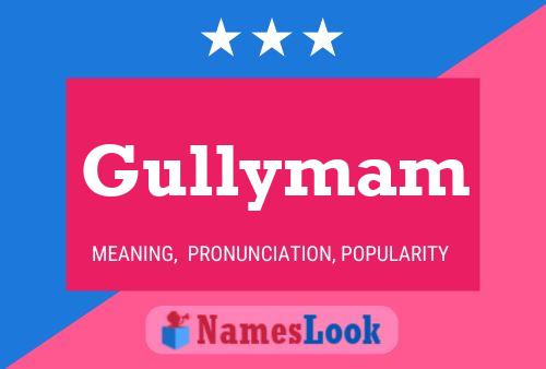 Póster del nombre Gullymam