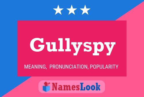 Póster del nombre Gullyspy