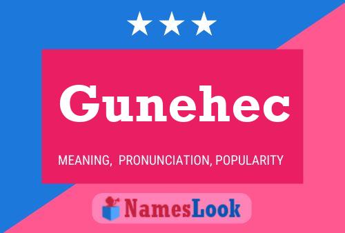 Póster del nombre Gunehec