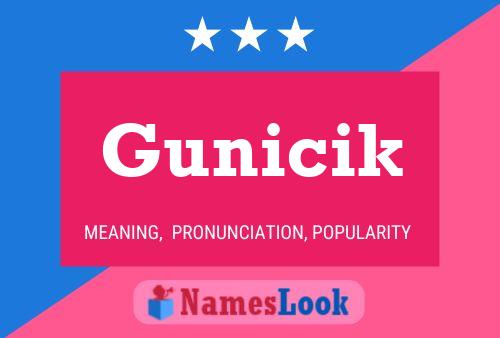 Póster del nombre Gunicik