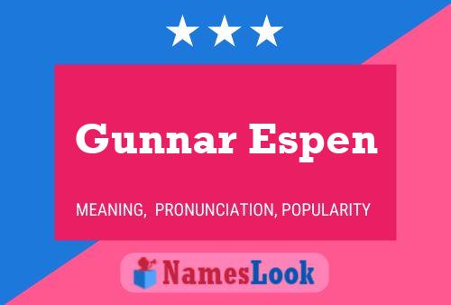 Póster del nombre Gunnar Espen