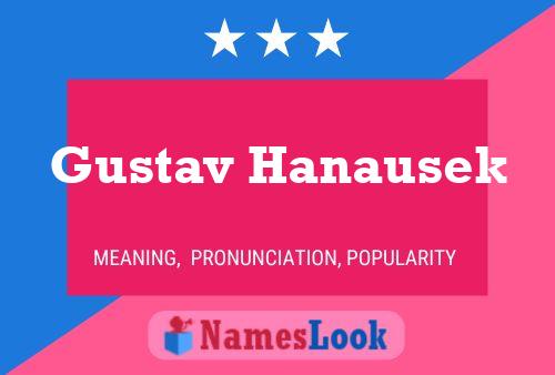 Póster del nombre Gustav Hanausek