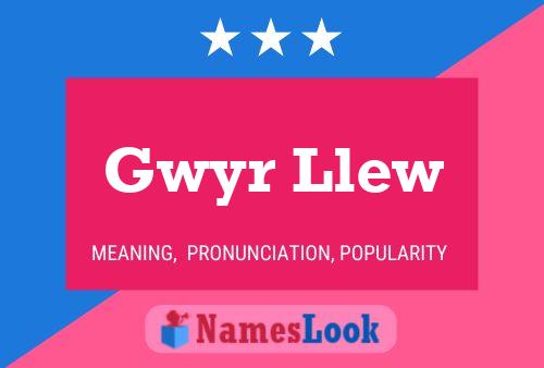 Póster del nombre Gwyr Llew