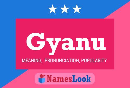 Póster del nombre Gyanu