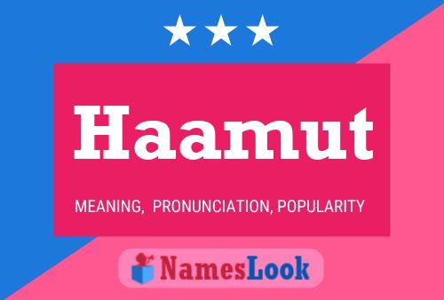 Póster del nombre Haamut