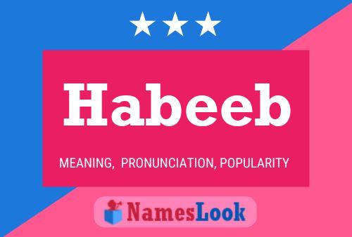 Póster del nombre Habeeb