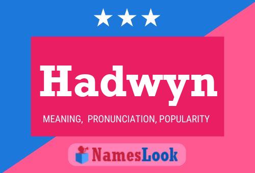 Póster del nombre Hadwyn