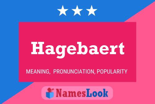 Póster del nombre Hagebaert