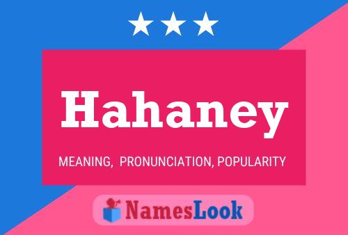 Póster del nombre Hahaney