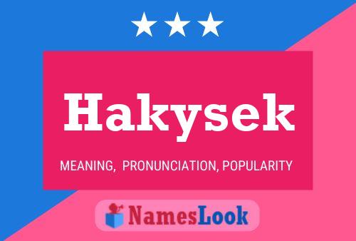 Póster del nombre Hakysek