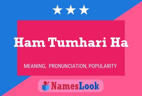 Póster del nombre Ham Tumhari Ha