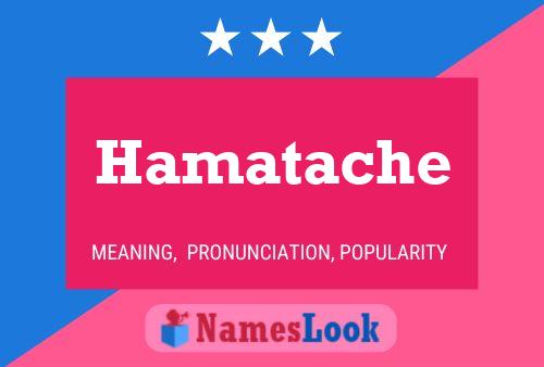 Póster del nombre Hamatache