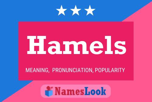 Póster del nombre Hamels