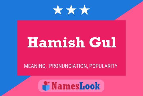 Póster del nombre Hamish Gul