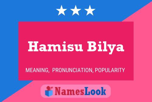 Póster del nombre Hamisu Bilya