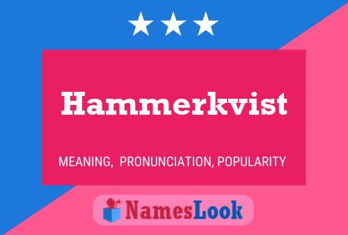 Póster del nombre Hammerkvist