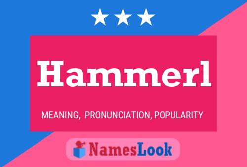 Póster del nombre Hammerl