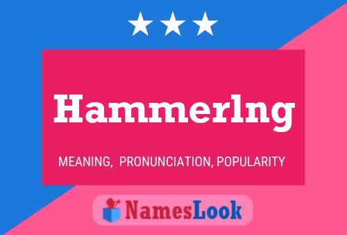 Póster del nombre Hammerlng