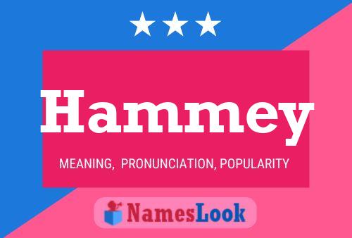 Póster del nombre Hammey