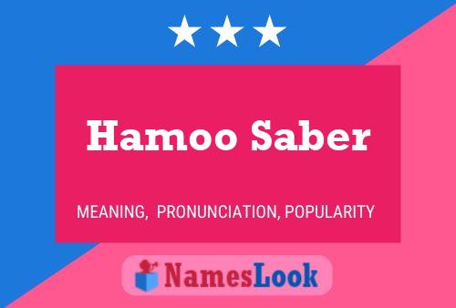 Póster del nombre Hamoo Saber