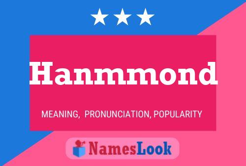 Póster del nombre Hanmmond