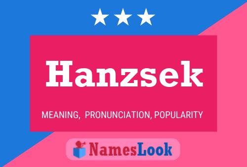 Póster del nombre Hanzsek