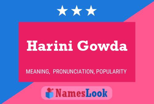 Póster del nombre Harini Gowda