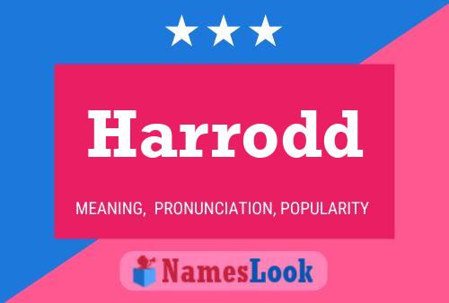 Póster del nombre Harrodd