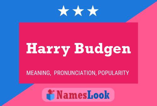 Póster del nombre Harry Budgen