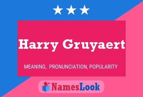 Póster del nombre Harry Gruyaert