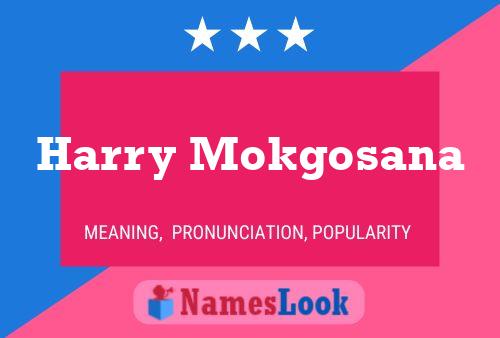 Póster del nombre Harry Mokgosana