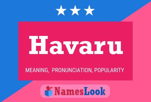 Póster del nombre Havaru