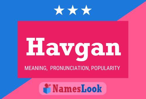 Póster del nombre Havgan