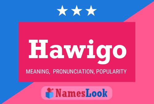 Póster del nombre Hawigo