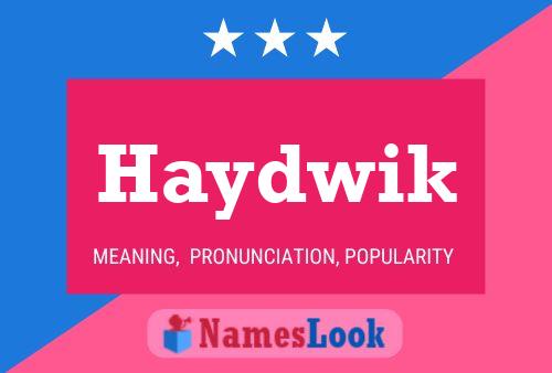 Póster del nombre Haydwik