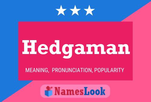 Póster del nombre Hedgaman