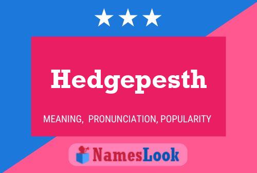 Póster del nombre Hedgepesth