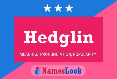 Póster del nombre Hedglin