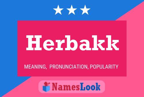 Póster del nombre Herbakk