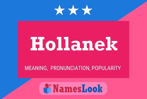 Póster del nombre Hollanek