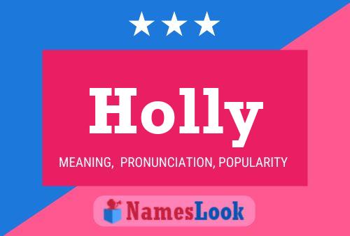 Póster del nombre Holly