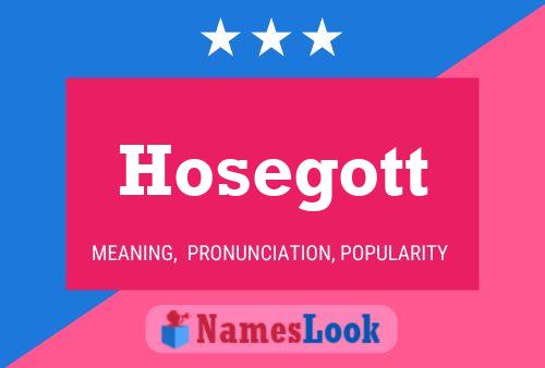 Póster del nombre Hosegott