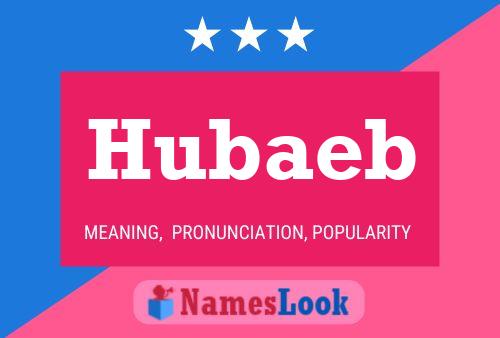 Póster del nombre Hubaeb