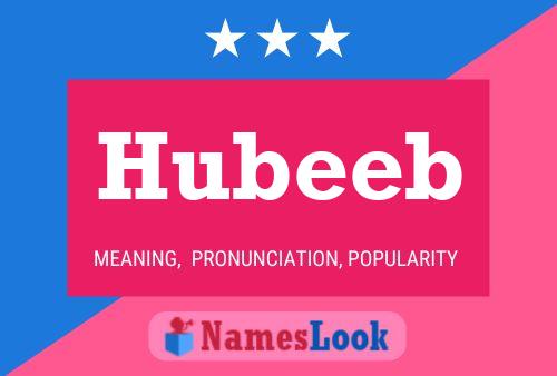 Póster del nombre Hubeeb