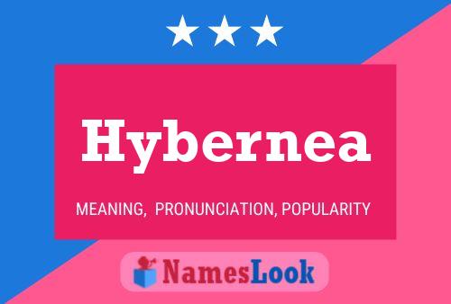 Póster del nombre Hybernea