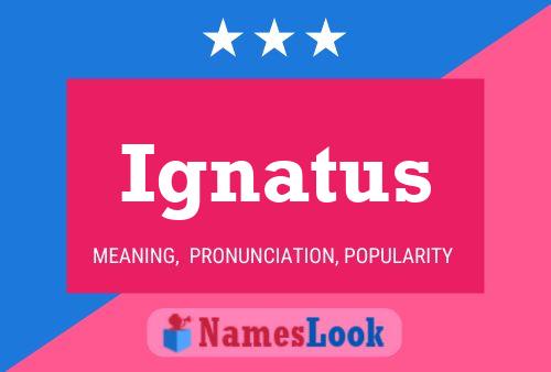 Póster del nombre Ignatus