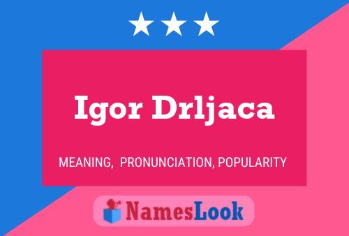 Póster del nombre Igor Drljaca