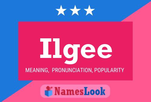 Póster del nombre Ilgee