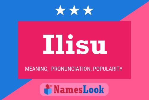 Póster del nombre Ilisu