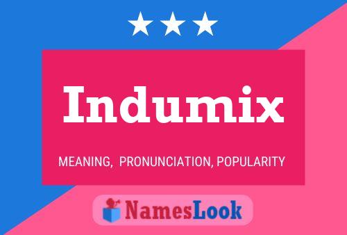 Póster del nombre Indumix